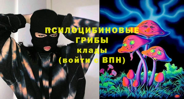 СК Алексин